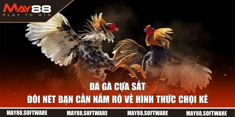 Đôi nét về hình thức đá gà cựa sắt MAY88